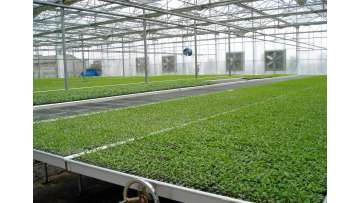 JULONG bench system