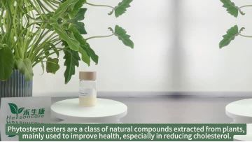 Phytosterol Esters