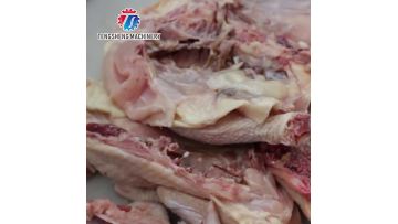 TS-P300 Commercial Meat Bone Cutter for Chicken Cutting Machine