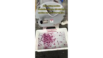 Onion dicing machine Multi-functional vegetable cutter