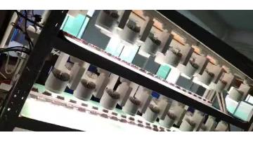 DC-1007 (2).mp4