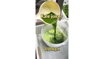 kale juicer 1200KG/H