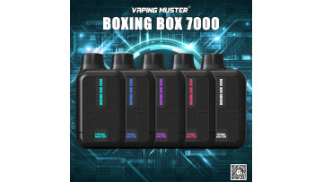 Boxing Box 7000