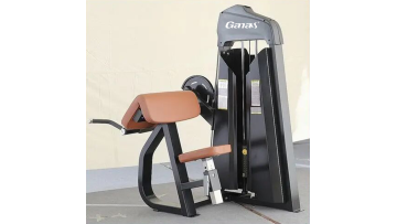 Biceps Curl MT-7023