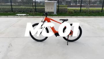 Electric mountain bike MC01_Trim