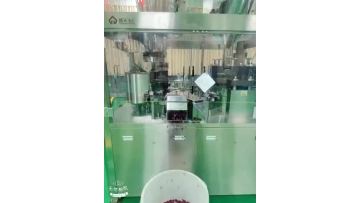 NJP7500 capsuel filling machine with screening device
