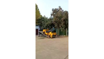 small road roller  (8)