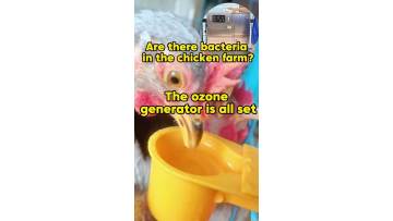 ozone machine for  livestock breeding.