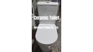 ceramic toilet