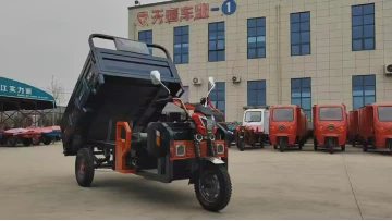 Big Rhino Electric Tricycle for Eco-Friendly Commuting