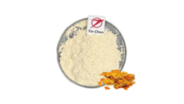 High Quality Orange Peel Extract Hesperidin 95% - Hot Selling Food Grade CAS 24292-52-2 HMC Hesperidin Methyl Chalcone1