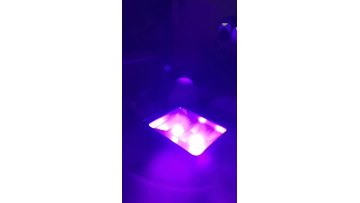 100W IP66 LED UV Floodlight with Plug Perfect for Neon Glow Blacklight Party Stage Lighting Fishing Aquarium DJ Disco Club Light1