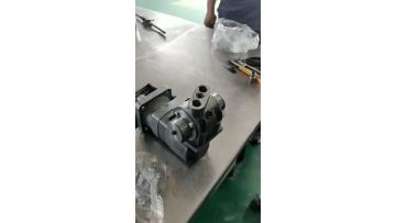 hydraulic motor