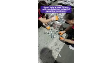 Video 30