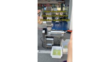 Ginger Juice Extraction Machine Fruit and Vegetable Juice Extraction 
