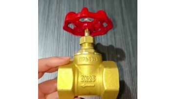 brass globe valve