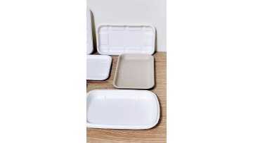 Medium Square Paperen Dinning Plate Dish Coffee Tea Desserts Snack Dumplings Meat Food Serving Platter1