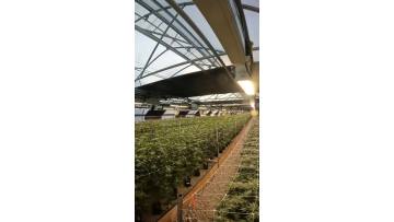 Light Deprivation Greenhouses3