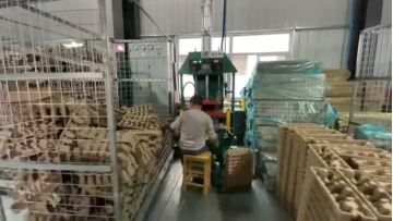 Operation Video of the Bow-shaped Machine