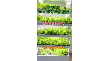 Video of a household cabinet-style vegetable growing