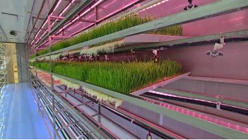 Internal video of the forage container 3