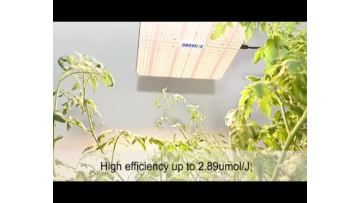 320W led grow light