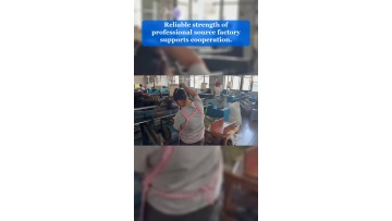 Video 15