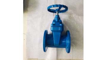 Soft seal blind rod gate valve2