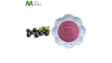 Youth Supply Private Label Natural Acai Berry Extract Powder1