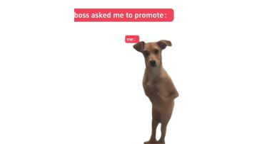 WeChat_20260424150812