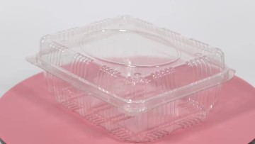 plastic clamshell fruit food packaging