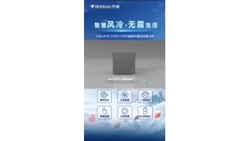 Wanbao air cooled freezer series