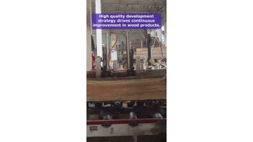 Video 6