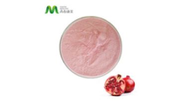 Wholesale Organic Fresh Pomegranate Extract Powder1