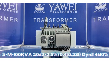100kva 20kv Distribution transformer