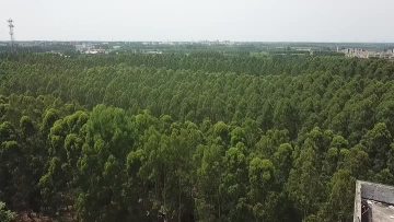 RXRDf68WMgDu2p46W9e_295783830579_hd_hq (1).mp4