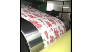 Prepainted Galvanized Steel Coil