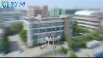 Xinghui PU adhesive