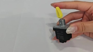 Semi-truck Double Pole Fast Shipping Toggle Switch