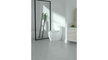 Silent Large-Diameter Household Toilet