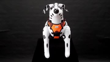 Kaatapet 3 In 1 Tape Adjustable Dog Leashes