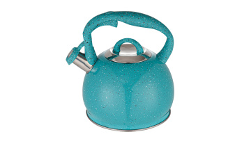 FH-595C stainless steel popular tea kettle