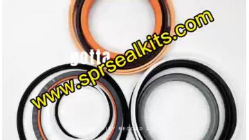 Hydraulic seal (13)