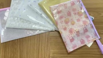 Document Bag