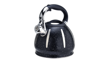 High-quality stainless steel black teapot FH-365