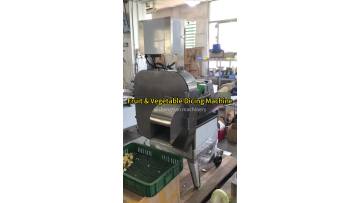 Fruit and vegetable dicing machine