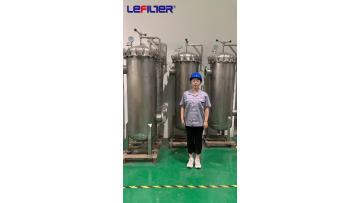 Stainless Steel Water Filter Housing (15s).mp4