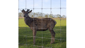 Farm Field Fence Low carbon steel wire and galvanized iron wire Fencing For Sale1