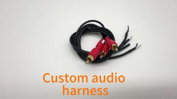 4 channel RCA