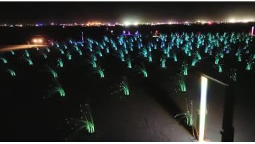 Fiber optic ball light 